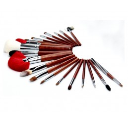 ZOERYA 20pcs  Professional Makeup Brush Set