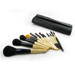 Color Shine 12pcs Mini Natural Makeup Brushes Set