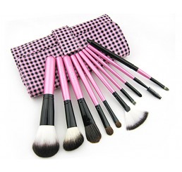 Color Shine 10pcs Pink Grid Portable Makeup Brushes Set