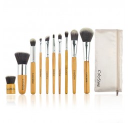 Color Shine 10pcs Portable Makeup Brush Set